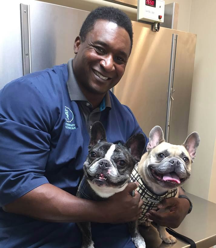 Veterinary Jobs in CT | Stamford Veterinary Careers Veterinary Jobs in CT | Stamford Veterinary Careers